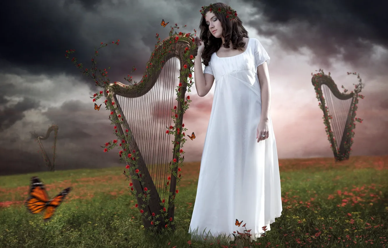 Photo wallpaper field, girl, photoshop, harp, photoart