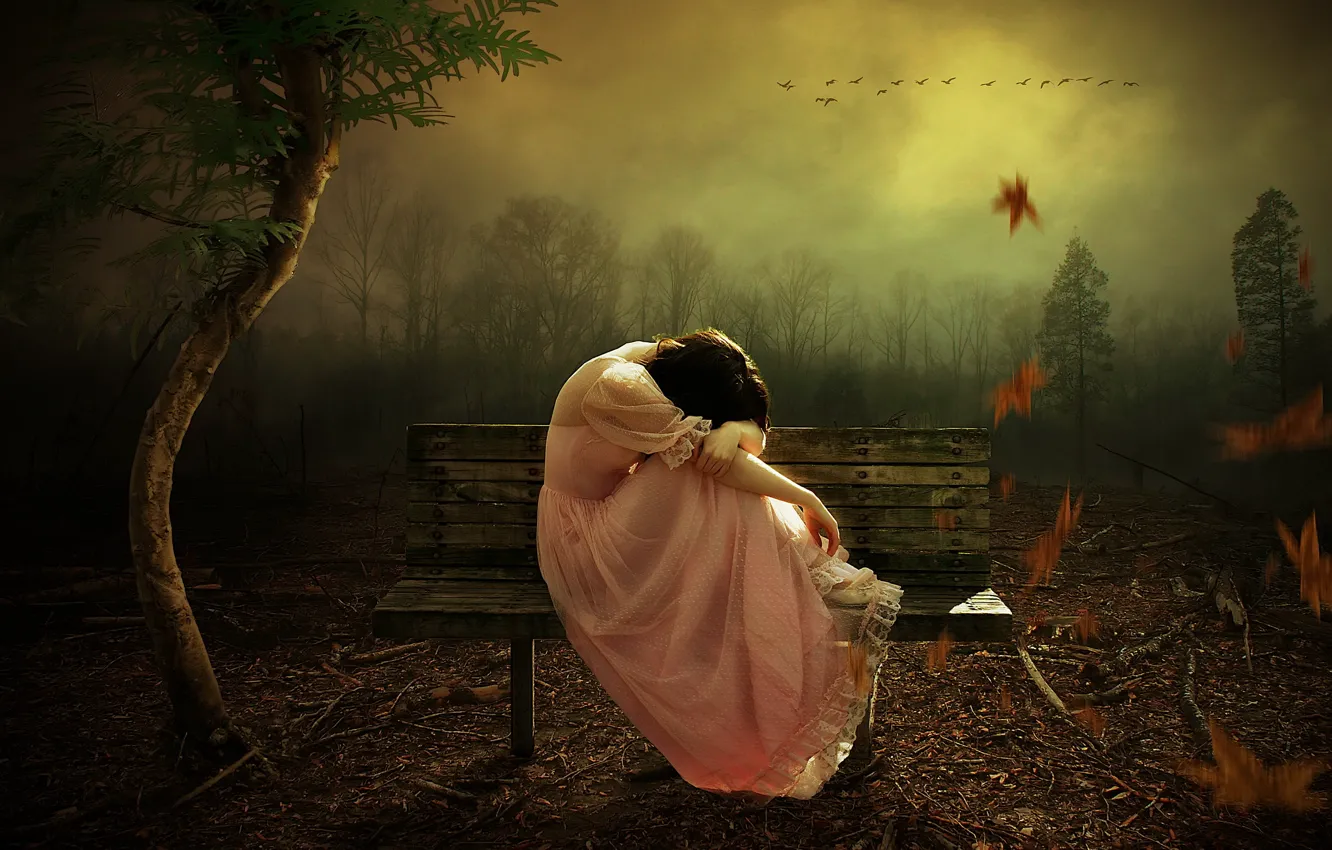 Photo wallpaper autumn, girl, bench