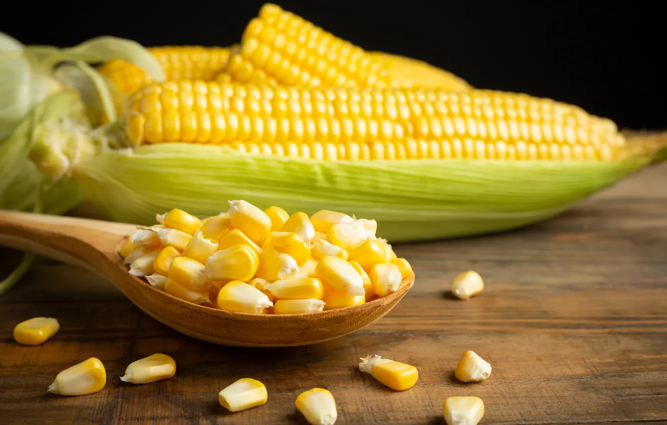 Photo wallpaper corn, the cob, corn grains