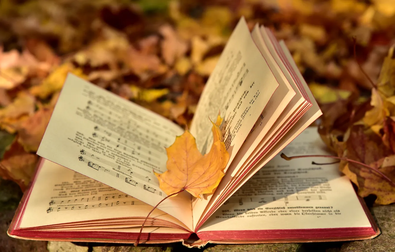 Photo wallpaper autumn, nature, notes, music, foliage, yellow, book, notebook