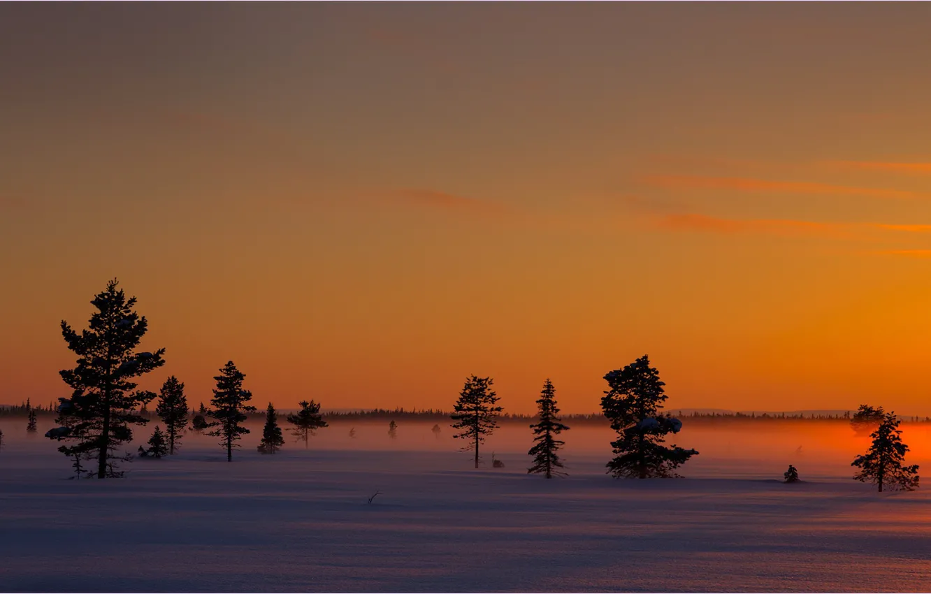 Photo wallpaper winter, sunset, Sweden, Sweden, Norrbotten