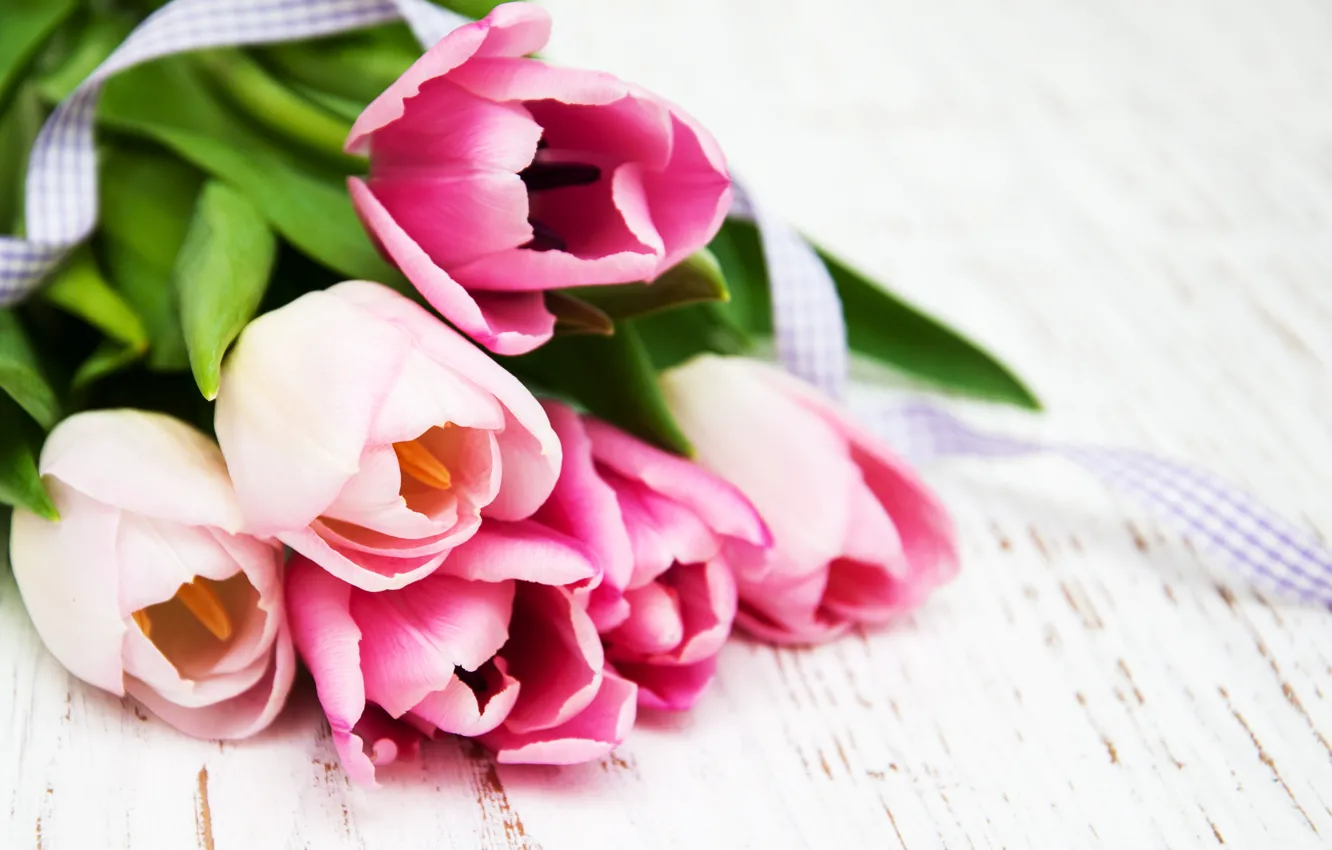 Photo wallpaper flowers, bouquet, tulips, pink, buds, Olena Rudo