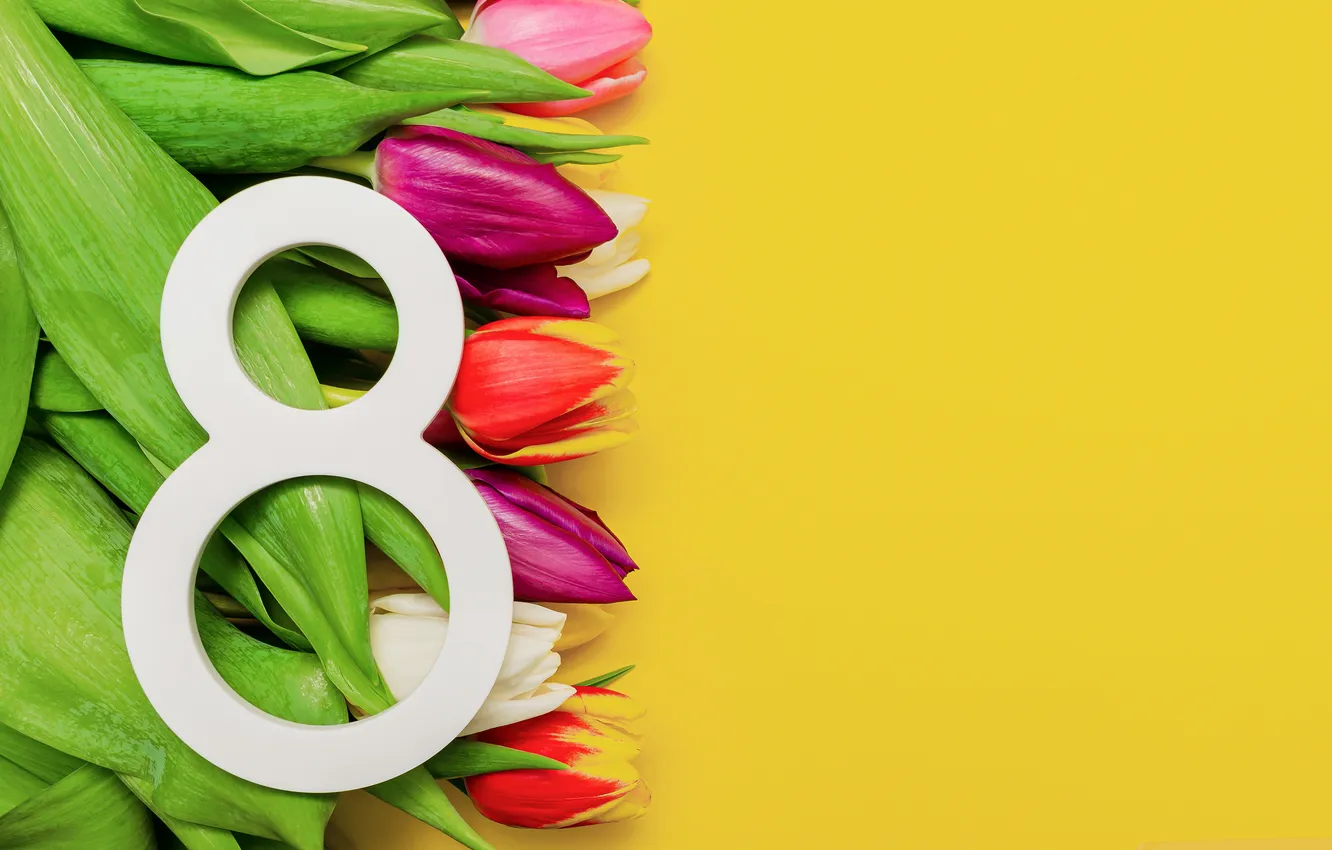 Photo wallpaper flowers, colorful, figures, tulips, March 8, flowers, tulips, spring