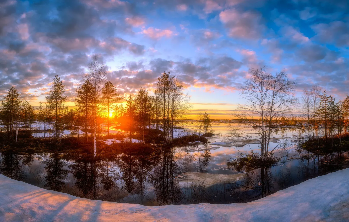 Photo wallpaper cold, forest, snow, sunset, nature