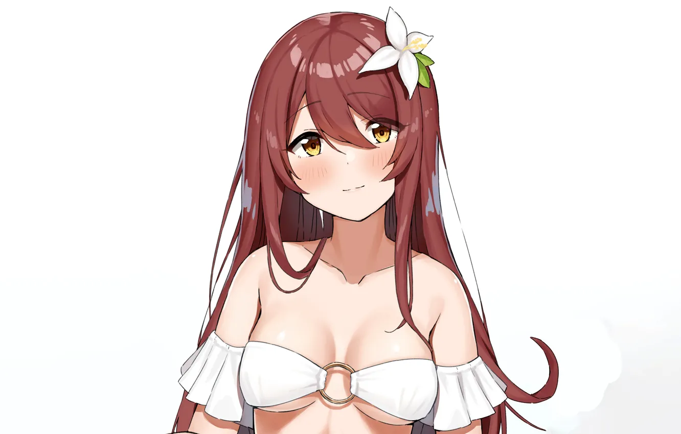 Photo wallpaper girl, sexy, cleavage, long hair, brown hair, boobs, anime, beautiful