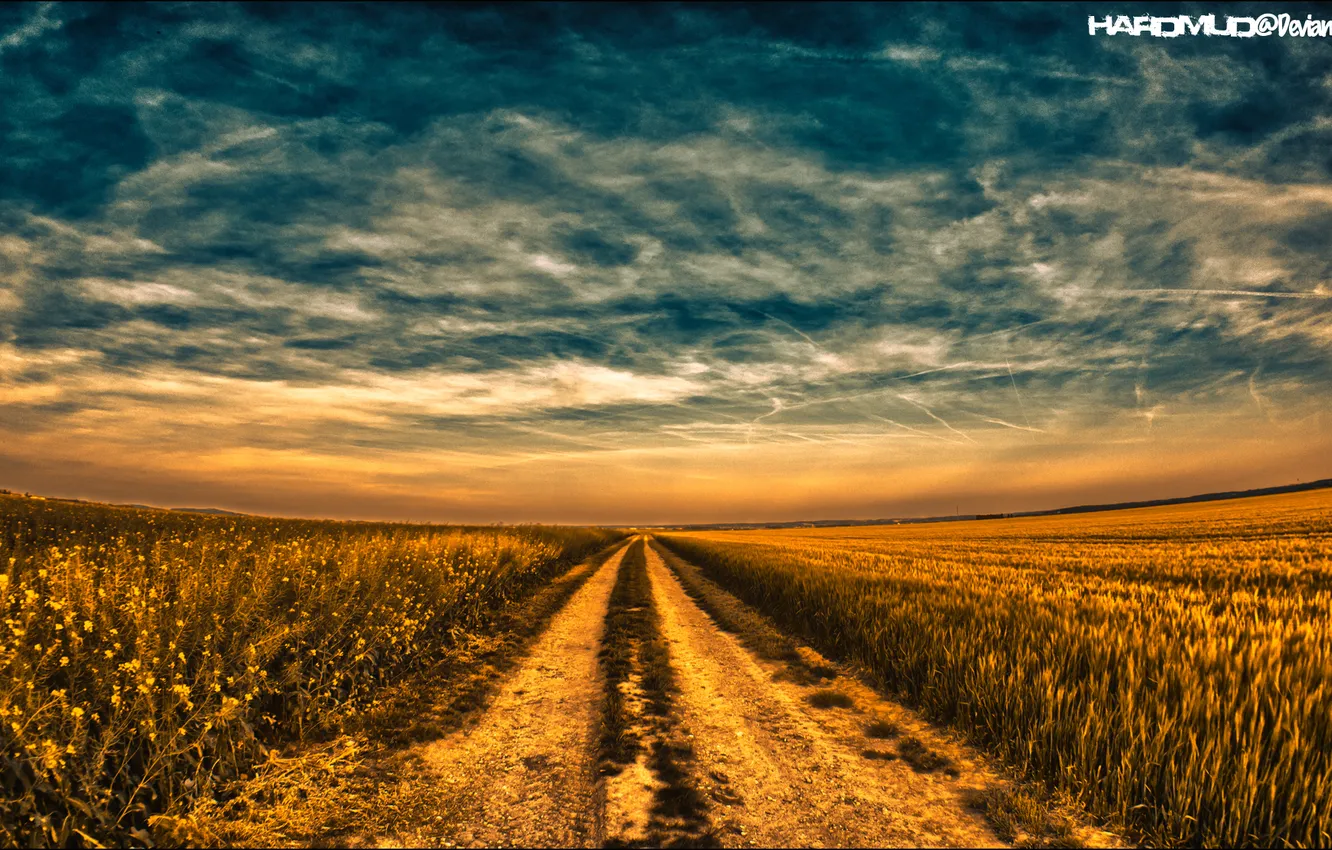 Photo wallpaper road, field, the sky