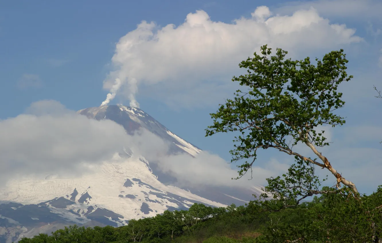 Photo wallpaper the sky, clouds, trees, mountains, nature, photo, Kamchatka