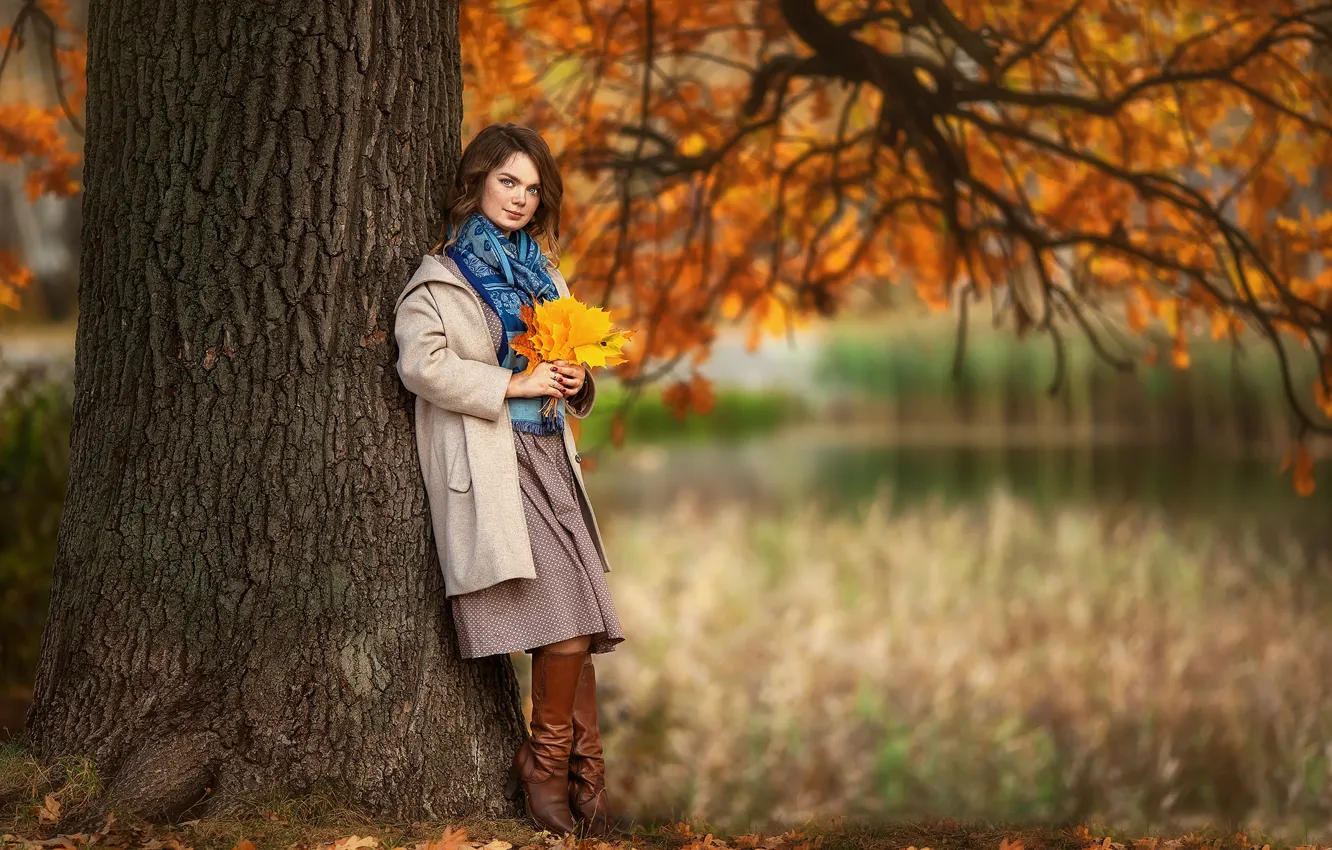 Wallpaper Autumn Look Leaves Girl Nature Pose Park Tree For