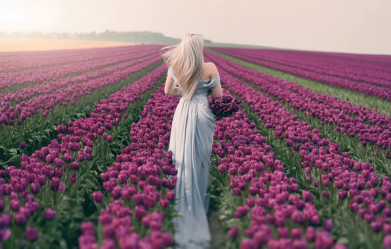 Photo wallpaper field, girl, spring, tulips