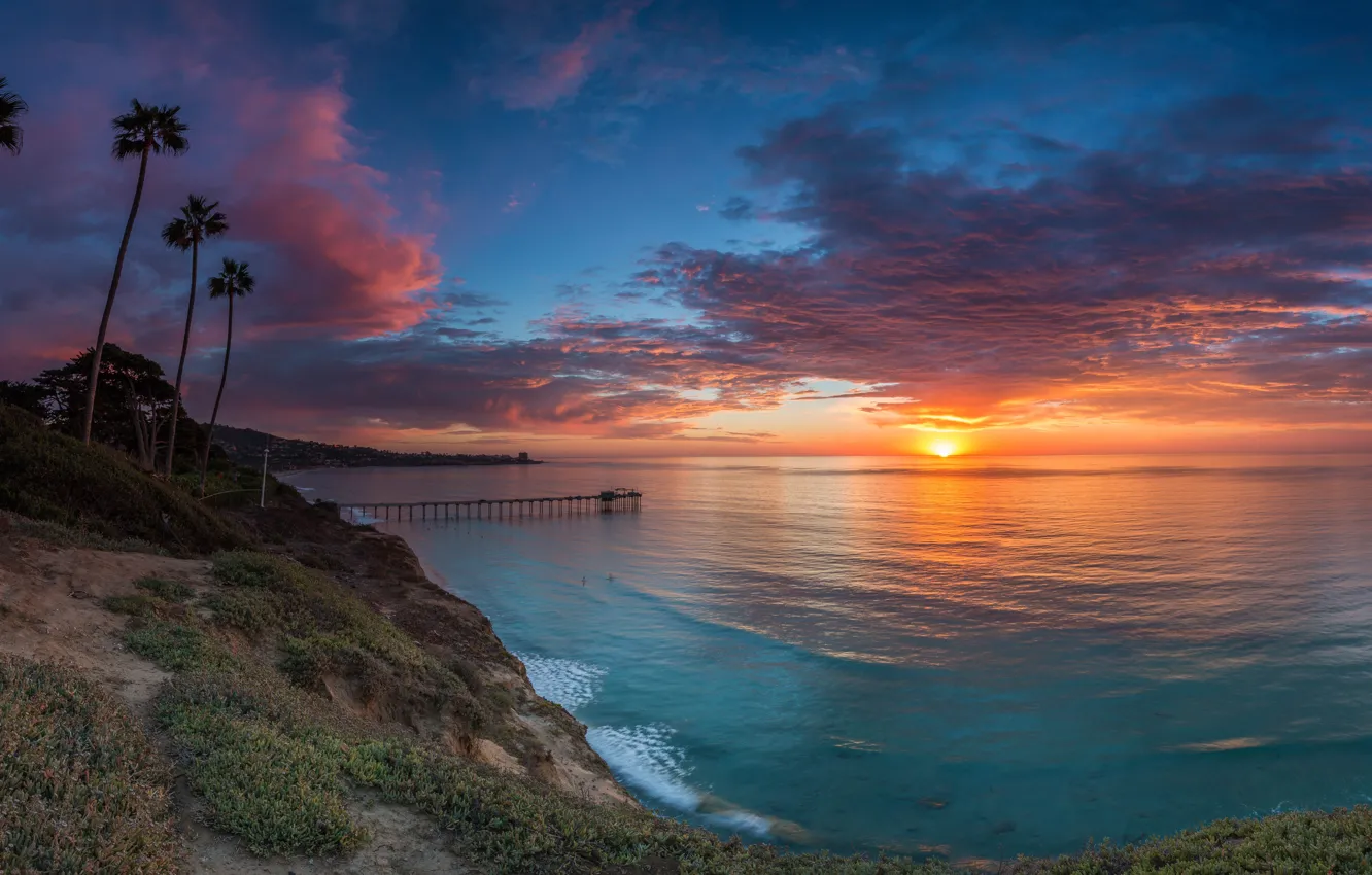 Photo wallpaper sunset, palm trees, the ocean, coast