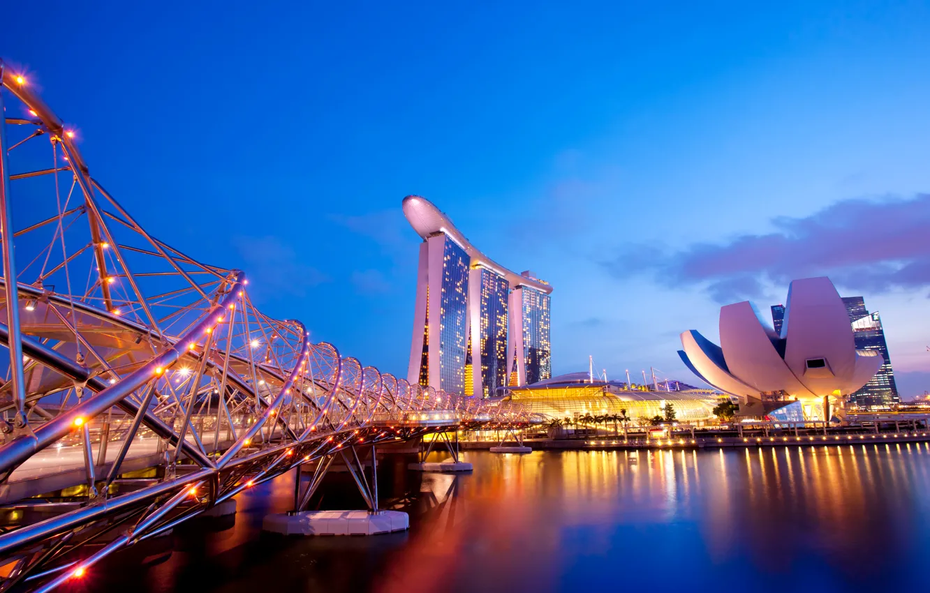 Photo wallpaper night, bridge, design, lights, river, palm trees, building, Singapore