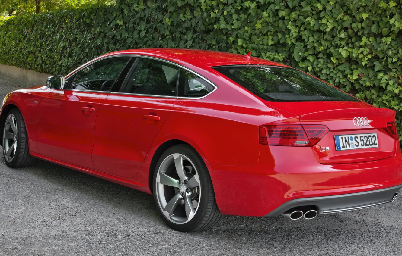 Photo wallpaper Audi, red, back, Sportback, (2015), Weiv