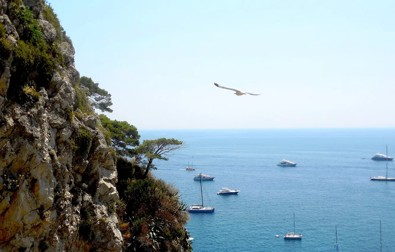 Photo wallpaper sea, rock, shore, yachts, Capri