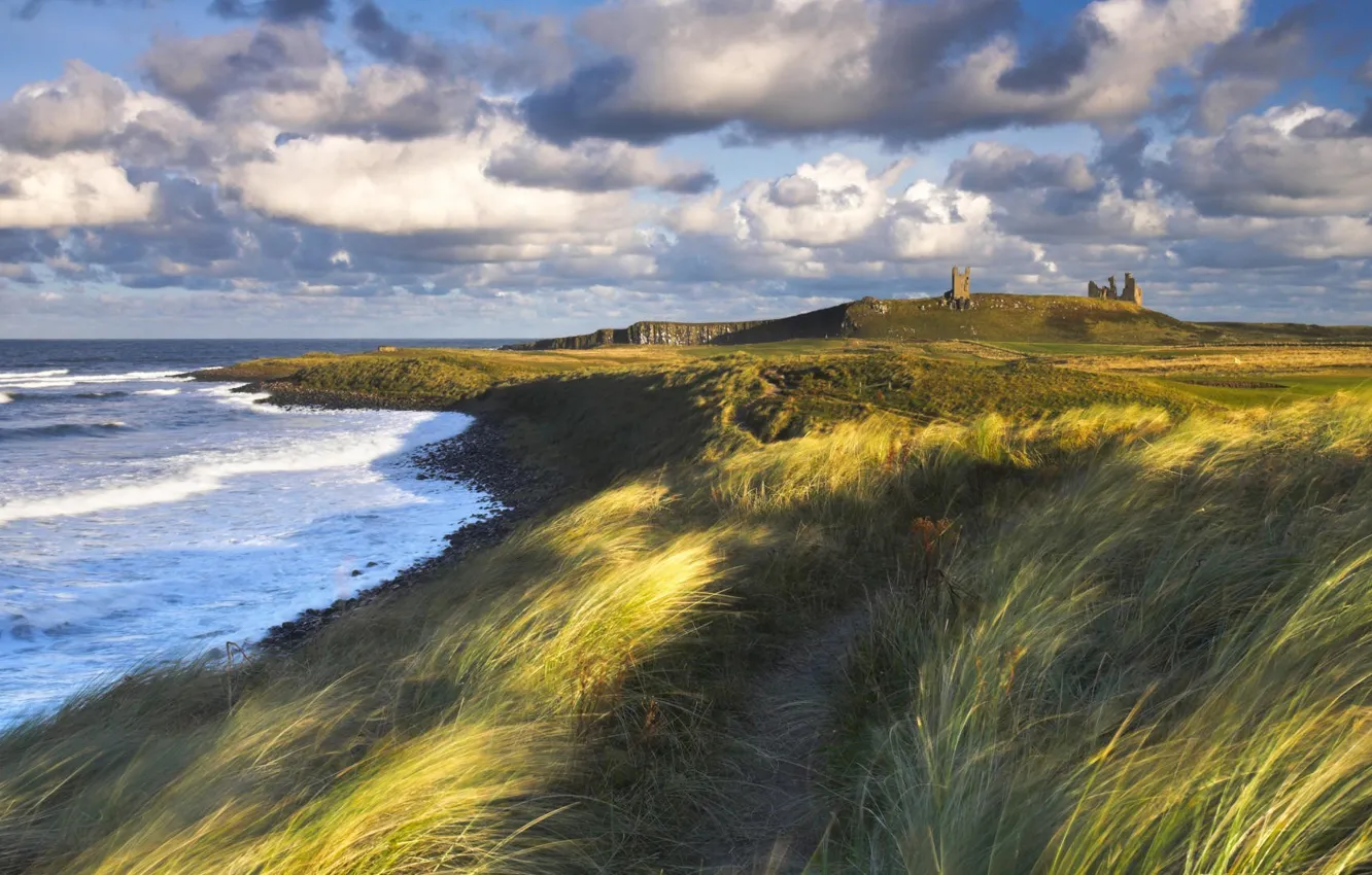 Photo wallpaper sea, field, clouds, England, field, sea, clouds, England