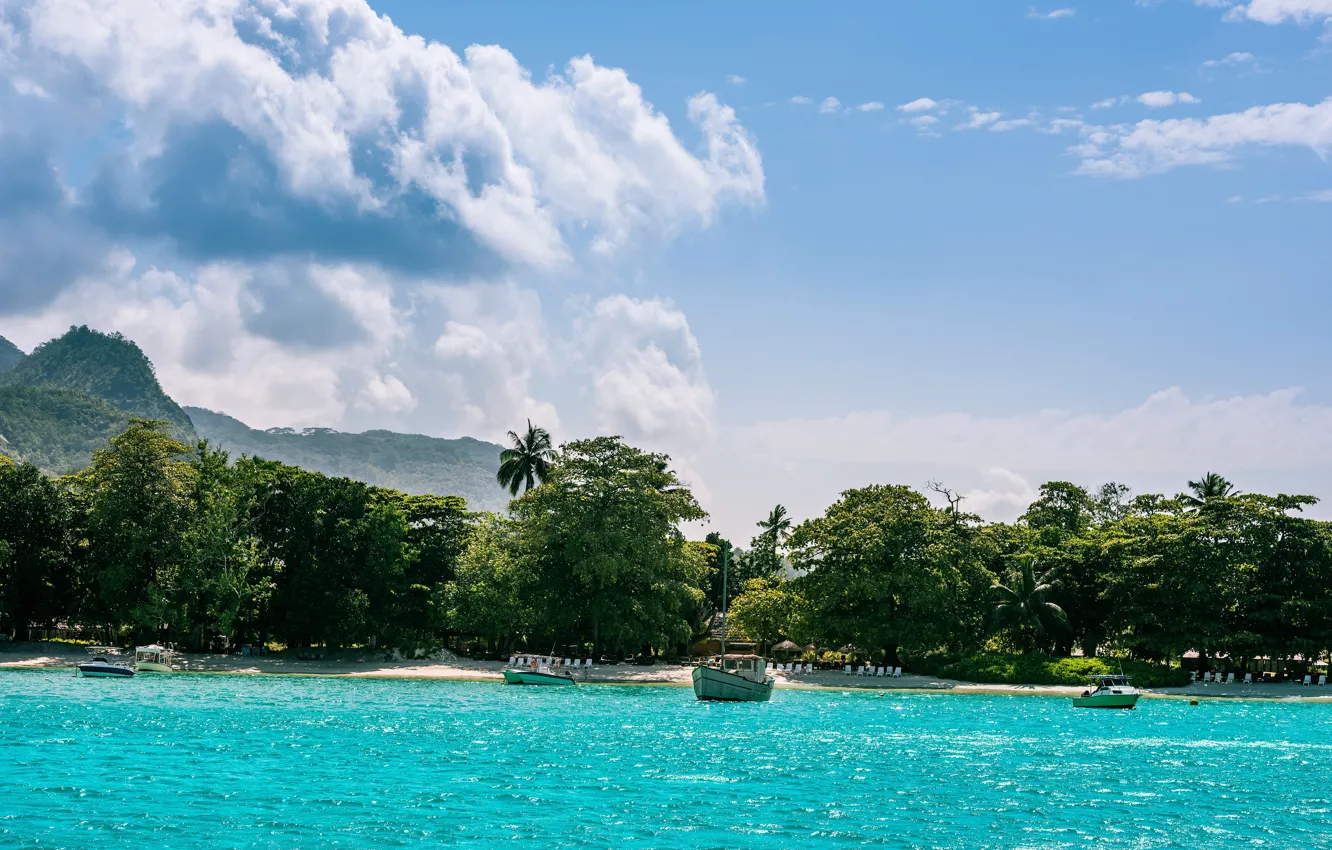 Photo wallpaper sea, greens, forest, beach, the sky, the sun, clouds, trees