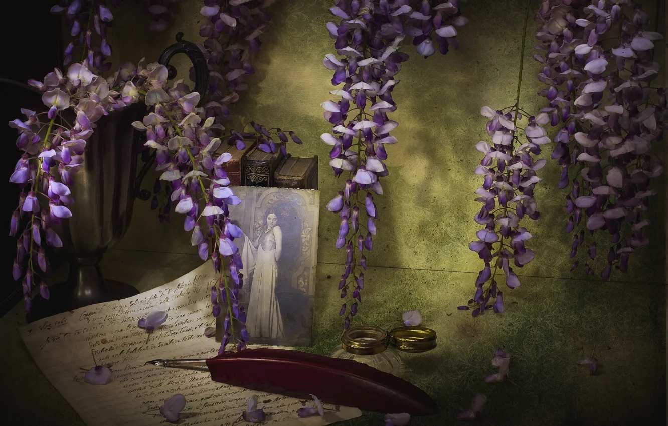 Photo wallpaper letter, girl, retro, photo, texture, feathers, vintage, Wisteria