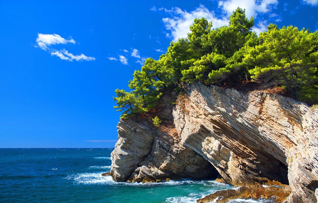 Photo wallpaper sea, the sky, clouds, trees, rock