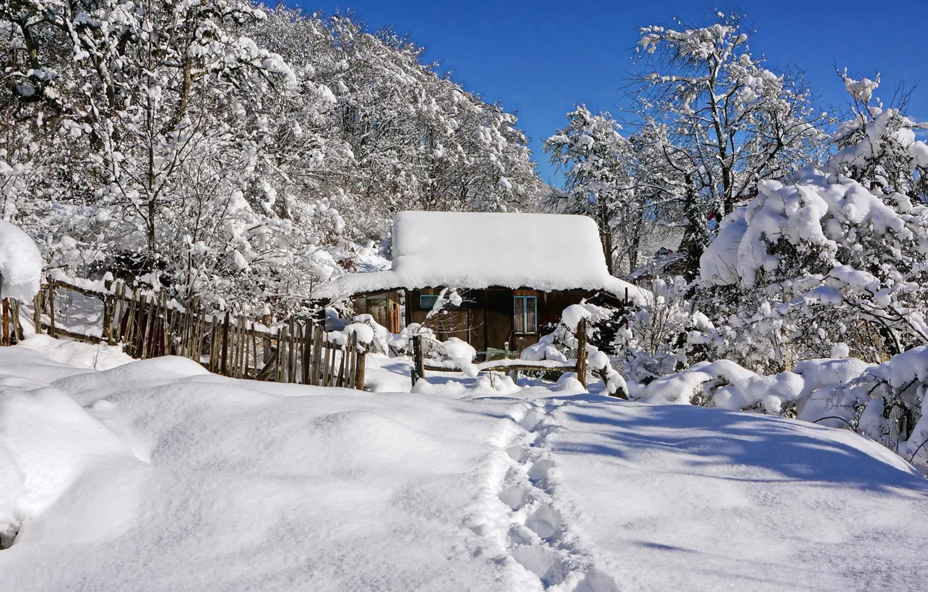 Photo wallpaper winter, snow, house, path