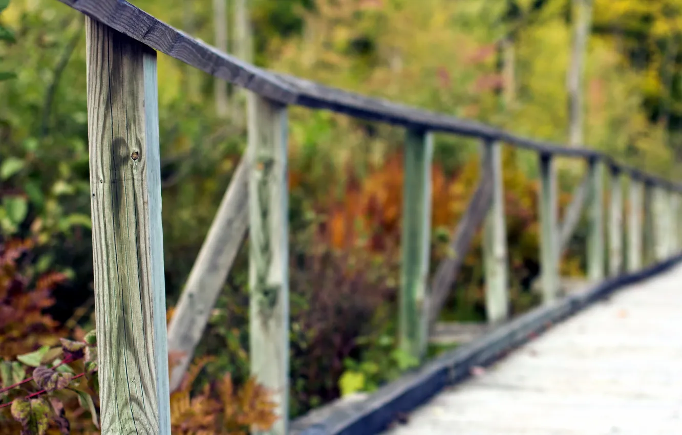 Photo wallpaper macro, bridge, railings