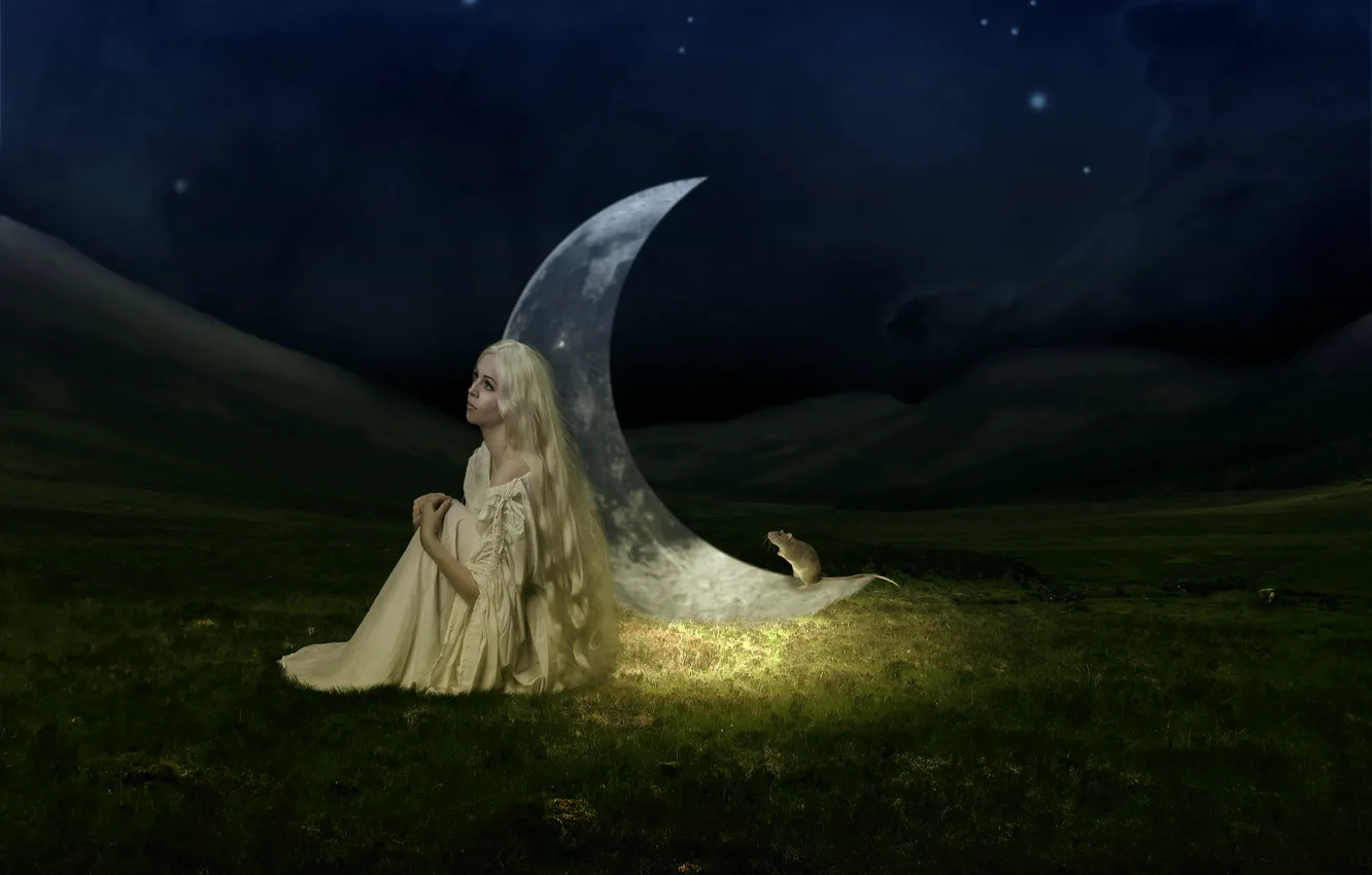 Photo wallpaper girl, night, the situation, a month, mouse