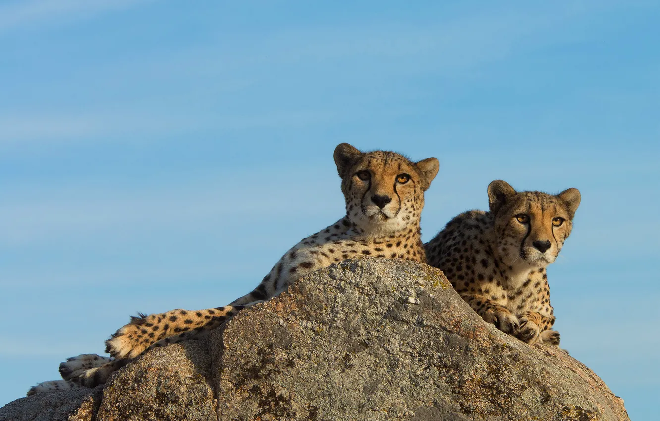 Photo wallpaper the sky, look, face, light, pose, stones, blue, stay