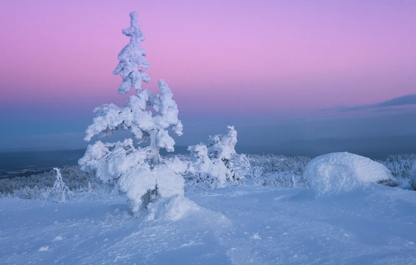 Photo wallpaper winter, landscape, The Kola Peninsula, Maxim Evdokimov