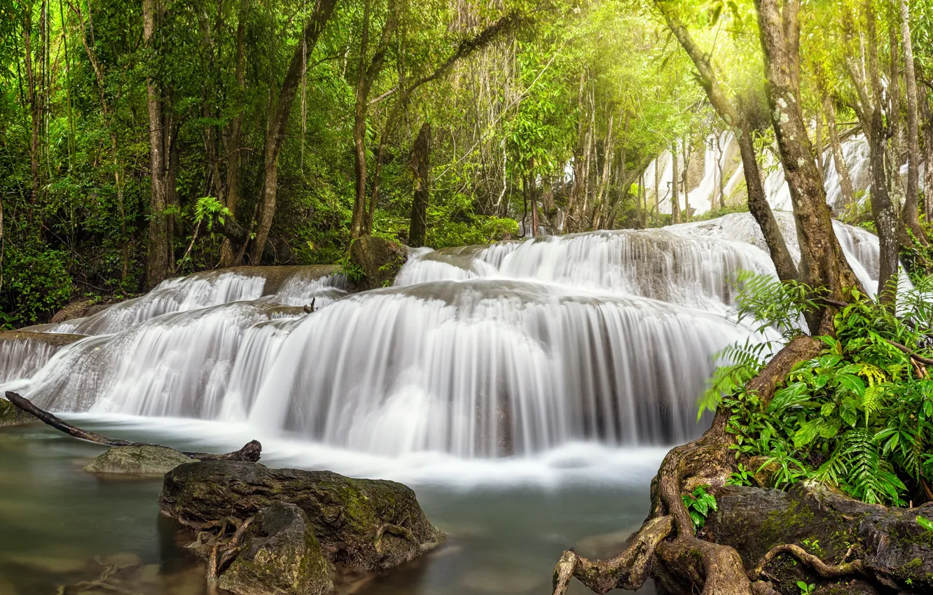Photo wallpaper forest, landscape, river, rocks, waterfall, summer, forest, tropical