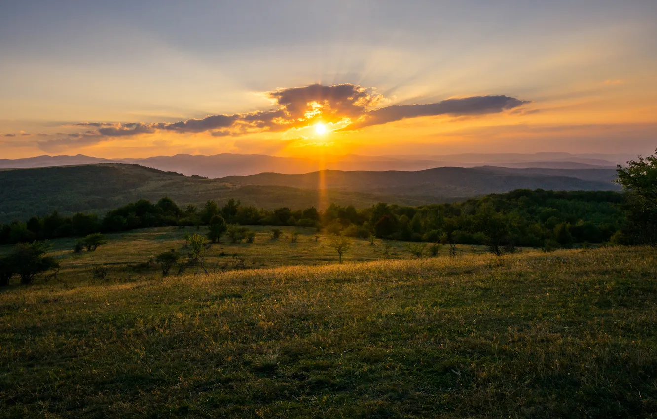 Photo wallpaper field, forest, the sky, grass, the sun, clouds, rays, sunset