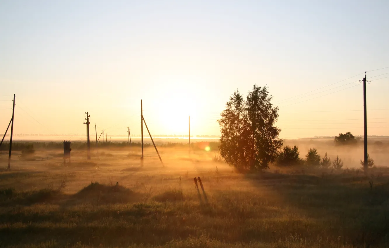 Photo wallpaper field, trees, nature, fog, dawn, morning, Russia
