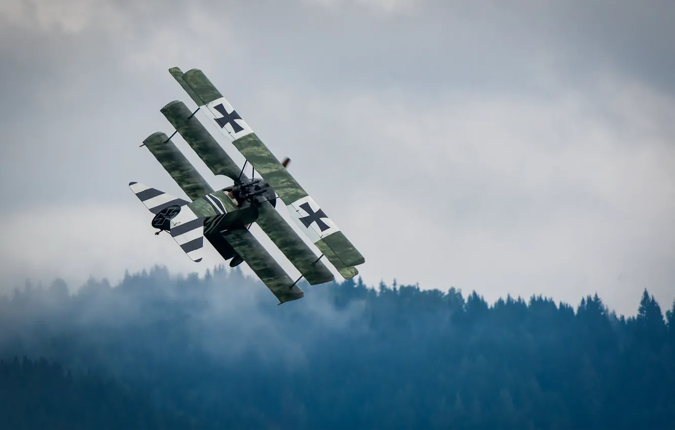 Photo wallpaper forest, the sky, flight, cross, pilot, the plane, machine gun
