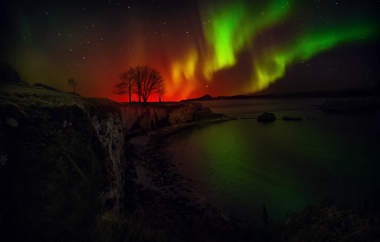 Photo wallpaper sea, stars, landscape, rocks, shore, Northern lights