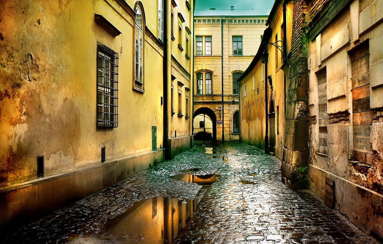 Photo wallpaper street, puddle, window