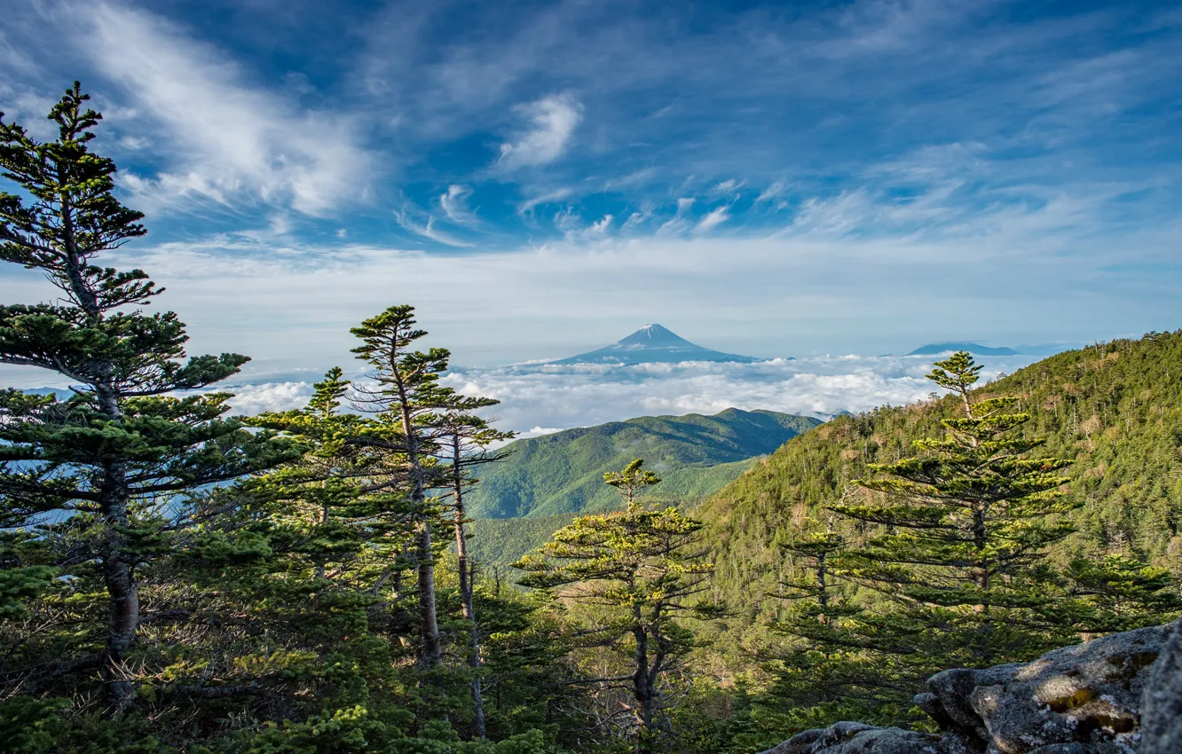 Photo wallpaper forest, the sky, mountains, Fuji