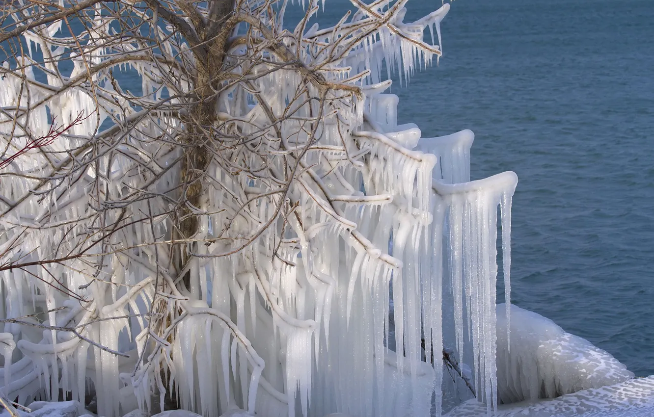 Photo wallpaper water, tree, ice, icicles, Canada, Canada, Lake Ontario, lake Ontario