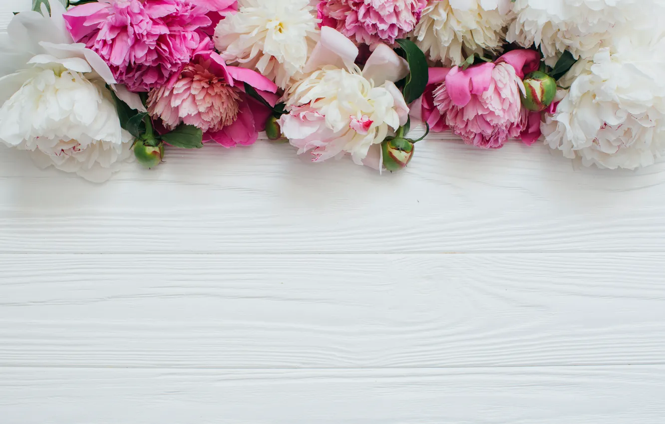 Photo wallpaper Flowers, White, Pink, Peonies, Wooden background