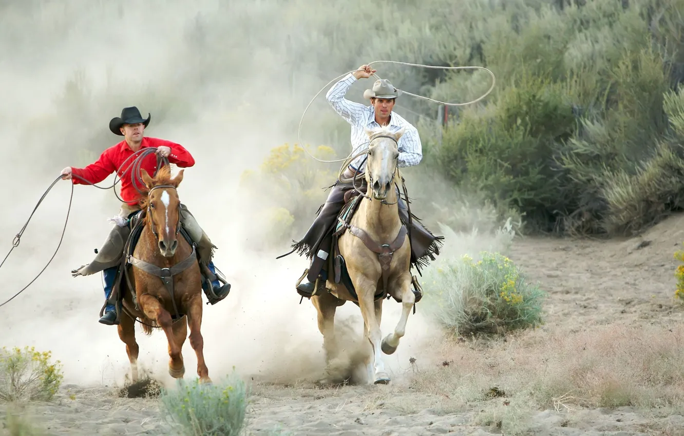 Photo wallpaper horses, lasso, two cowboys