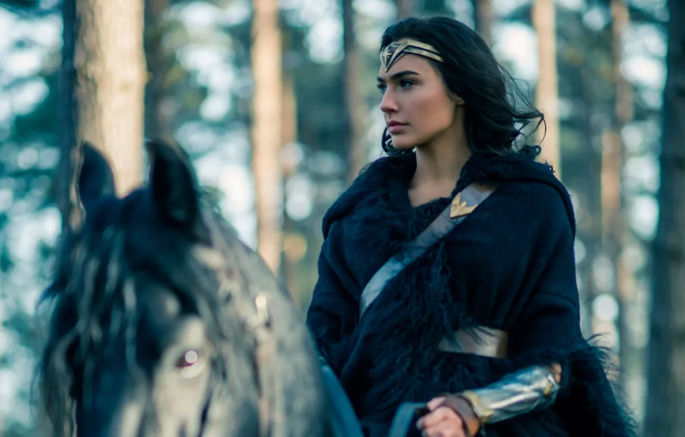 Photo wallpaper cinema, Wonder Woman, woman, movie, brunette, horse, film, DC Comics