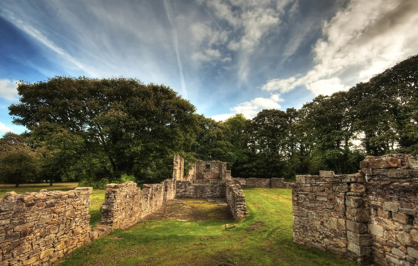 Photo wallpaper trees, landscape, nature, stones, ruins