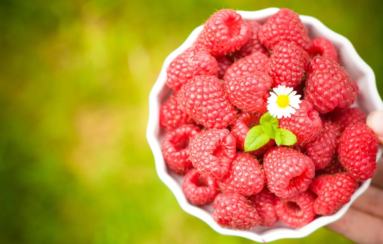 Photo wallpaper flowers, berries, raspberry
