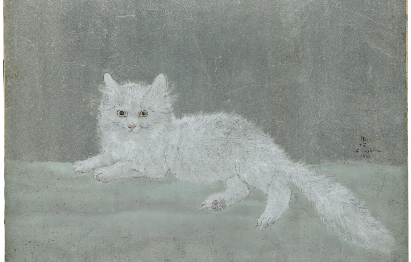 Photo wallpaper paper, feathers, watercolor, ink, 1933, white cat, Tsuguharu Foujita