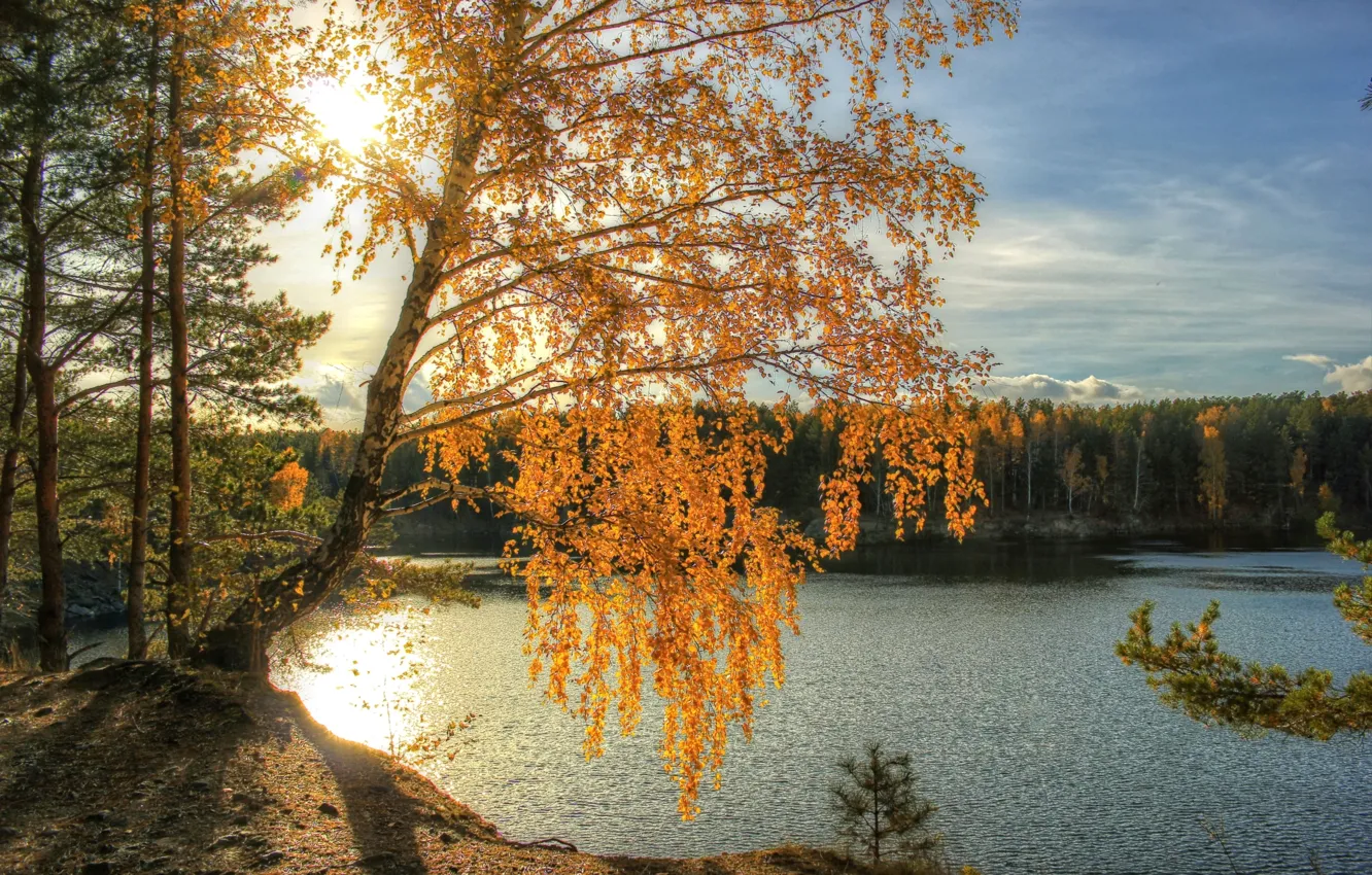 Photo wallpaper autumn, the sun, light, river, birch