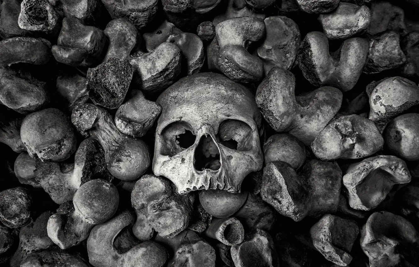 Photo wallpaper stones, background, skull