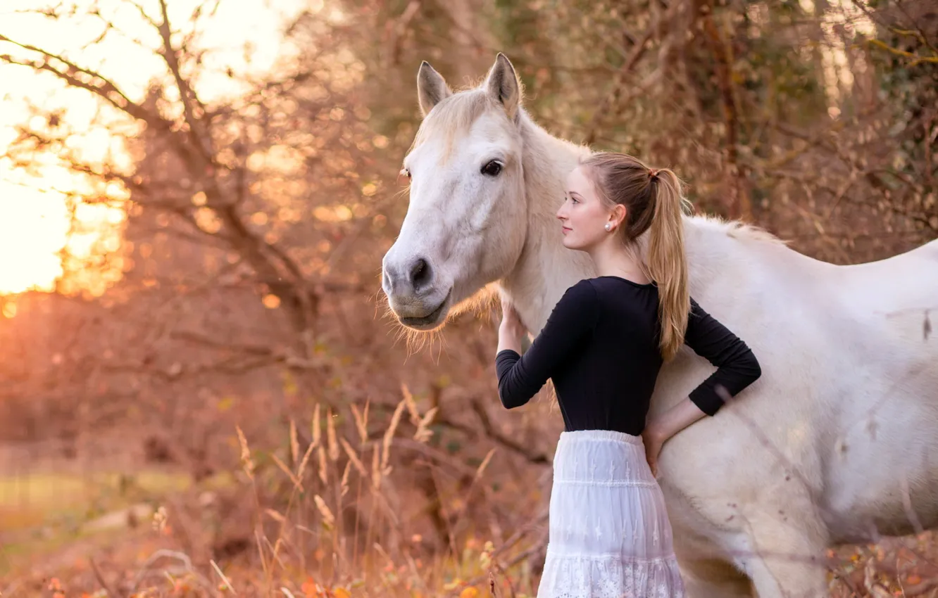 Photo wallpaper girl, nature, horse