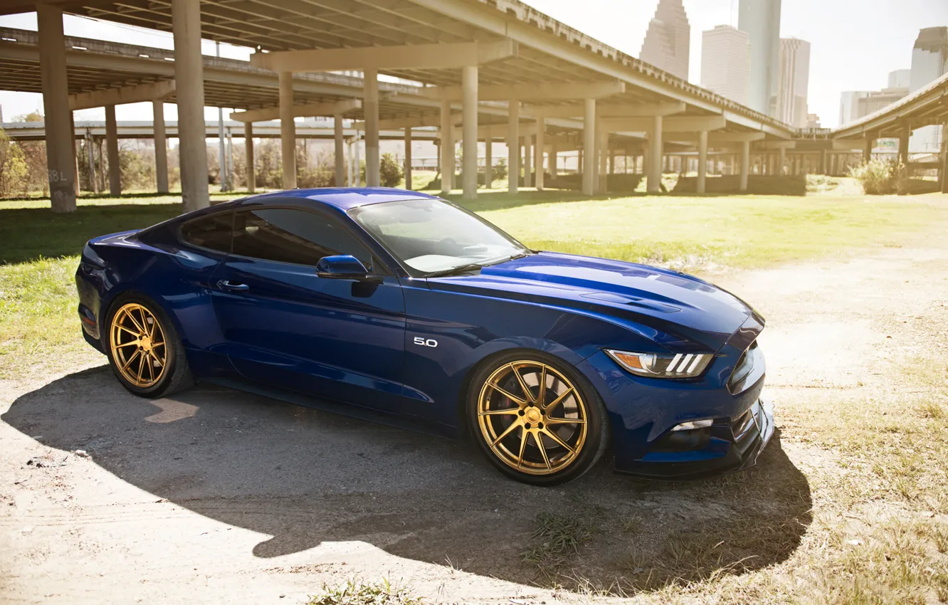 Photo wallpaper mustang, ford, blue, 5.0, gts