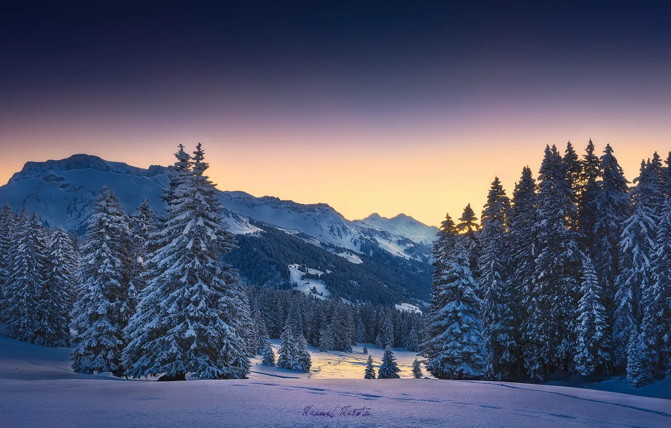 Photo wallpaper winter, forest, snow, mountains, morning, Alps