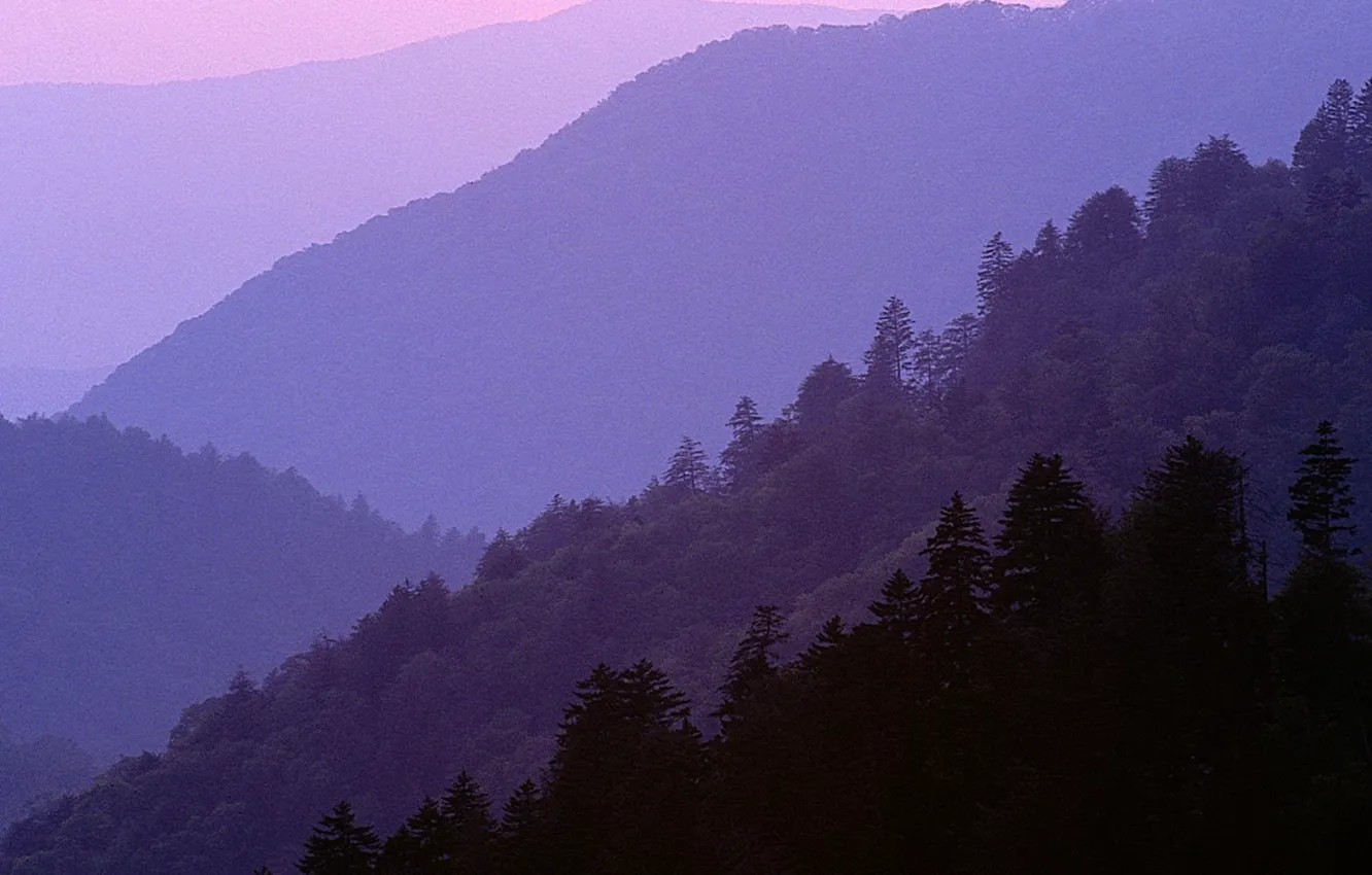 Photo wallpaper trees, mountains, nature, USA, twilight, Great Smoky Mountains National Park