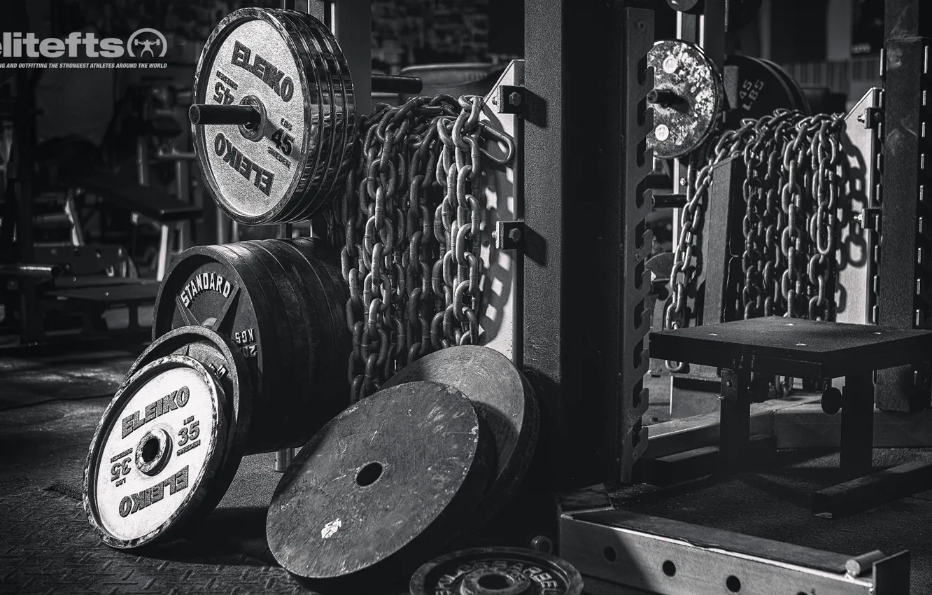 Photo wallpaper pancakes, gym, weight