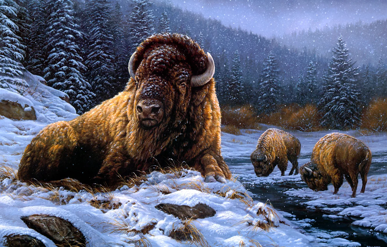 Photo wallpaper winter, snow, Buffalo, Buffalo, Rosemary Millette
