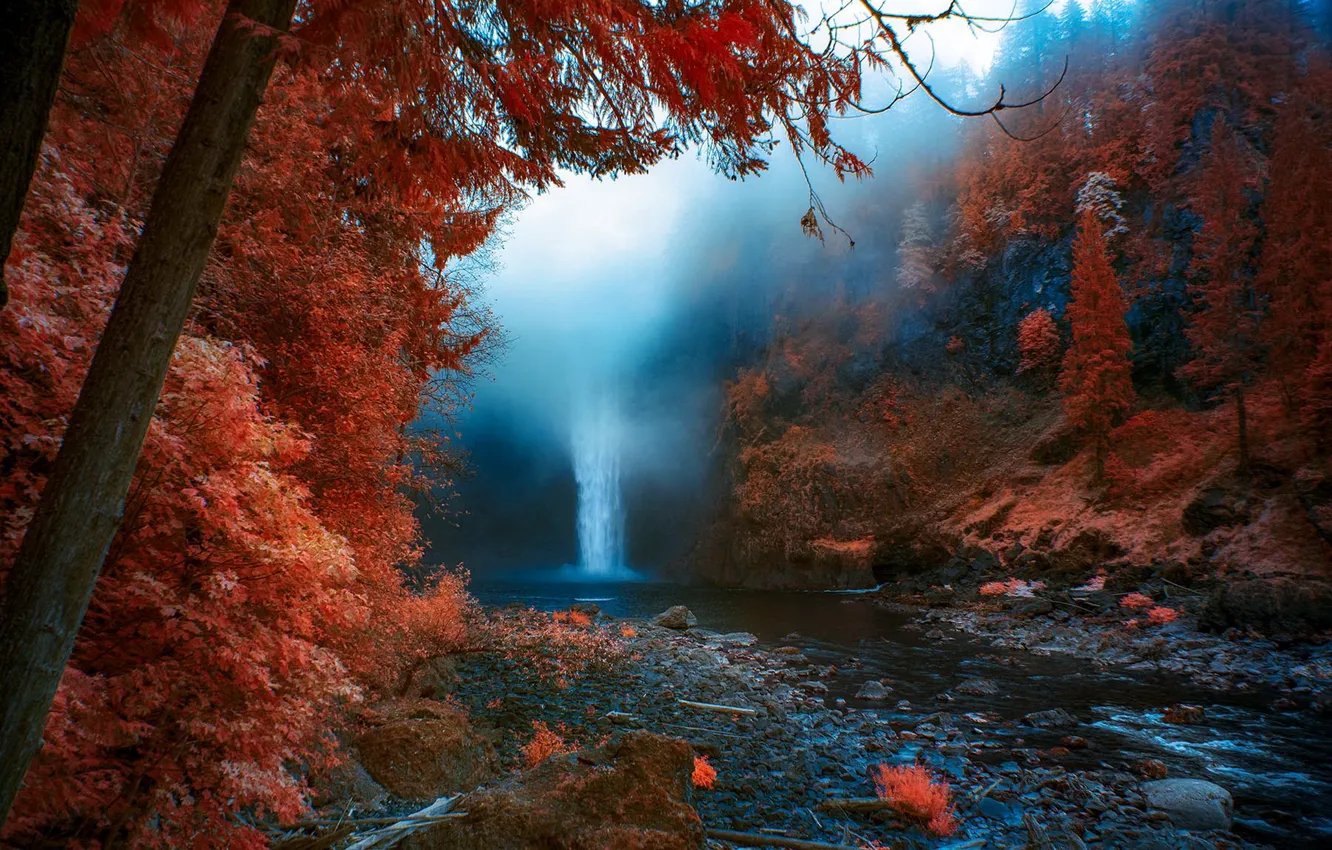 Photo wallpaper autumn, nature, fog, waterfall, United States, Washington, Snoqualmie Falls