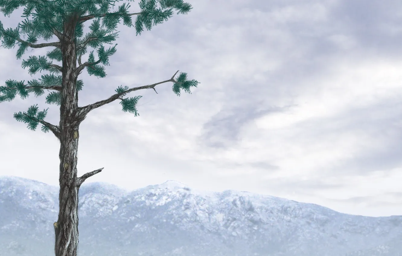 Photo wallpaper trees, mountains, art, trunk, pine, coniferous